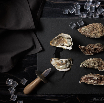 Oysters ready to be served.jpg