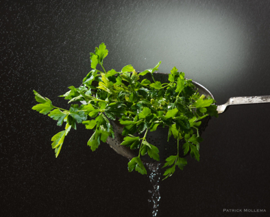 Wash parsley.jpg
