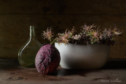 Red cabbage.jpg