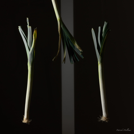 Leek hanging and standing.jpg