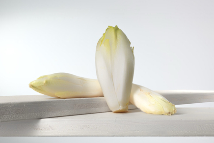 Chicory white.jpg