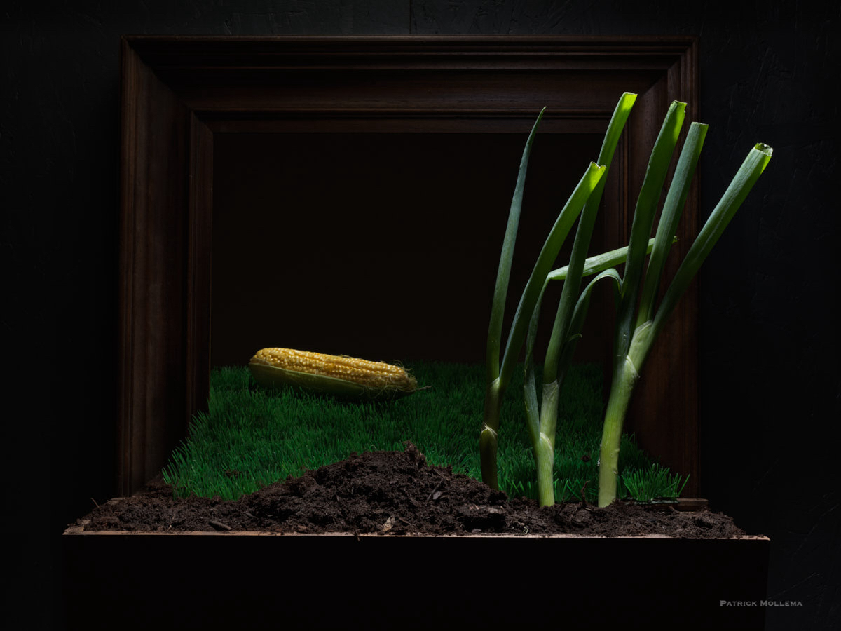 Framed vegetables.jpg