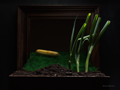 Framed vegetables.jpg