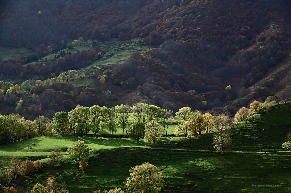 L'automne commence .jpg