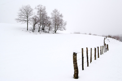 La neige à Goulles .jpg