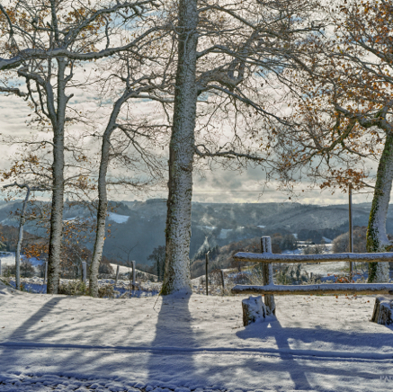 Fragile winter.jpg