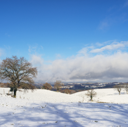 été hiver jour.jpg