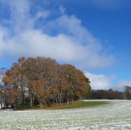 L'île dans la neige.jpg