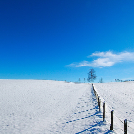 DSC_3569.jpg