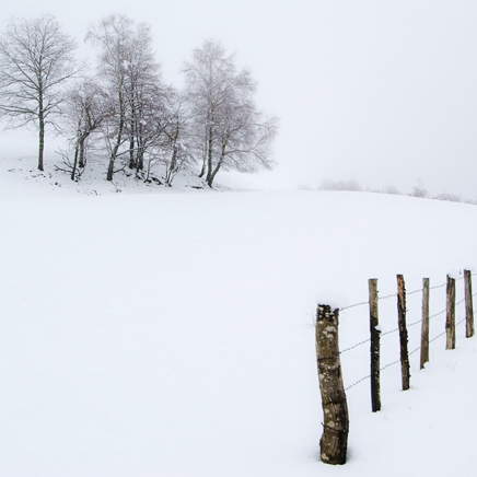 Snow everywherejpg