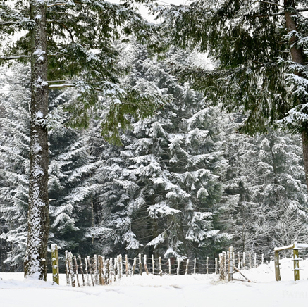 La route de neiges.jpg