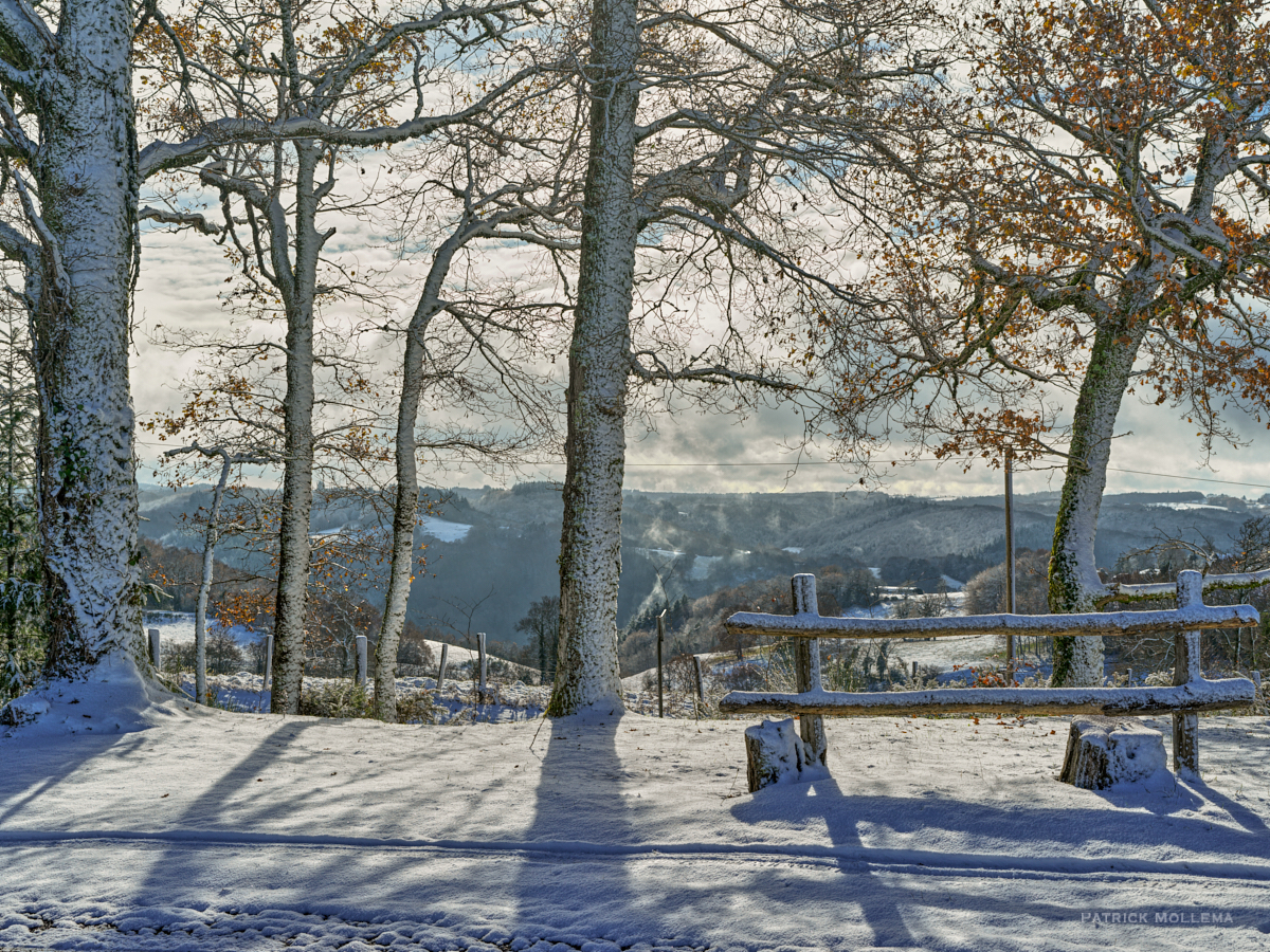 Fragile winter.jpg