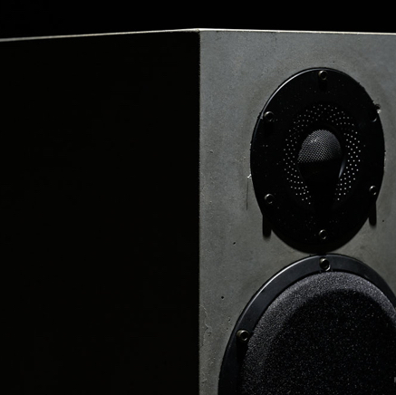 Speaker grey.jpg